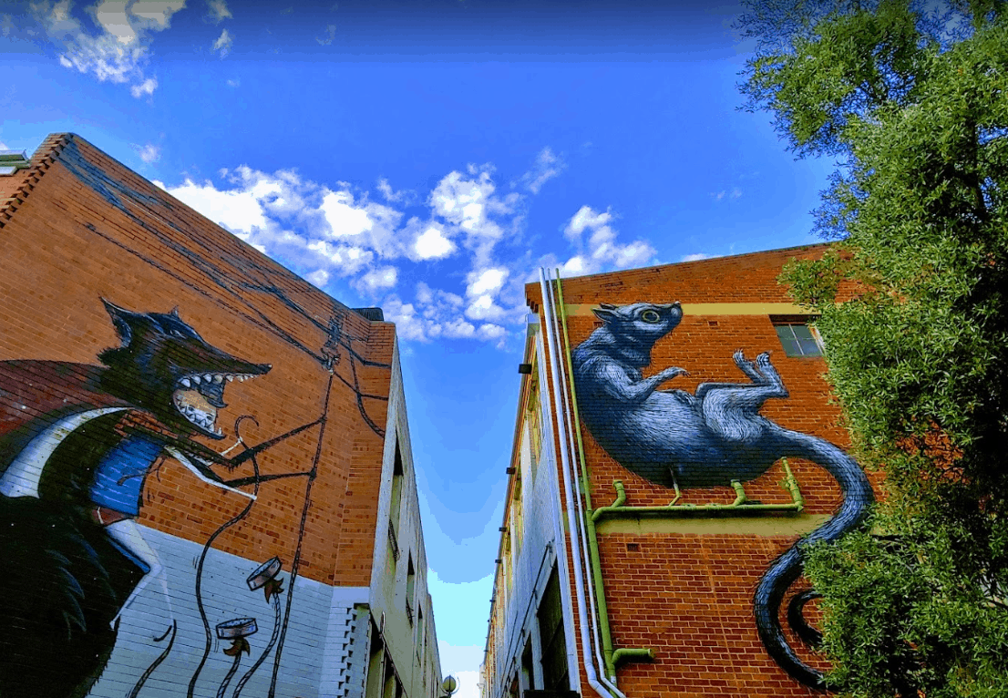 Wolf Lane Perth